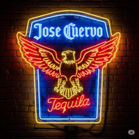 https://cuervo.com
