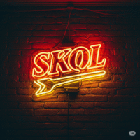 https://www.skol.com.br