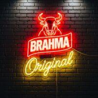 https://www.brahma.com.br/pt-br